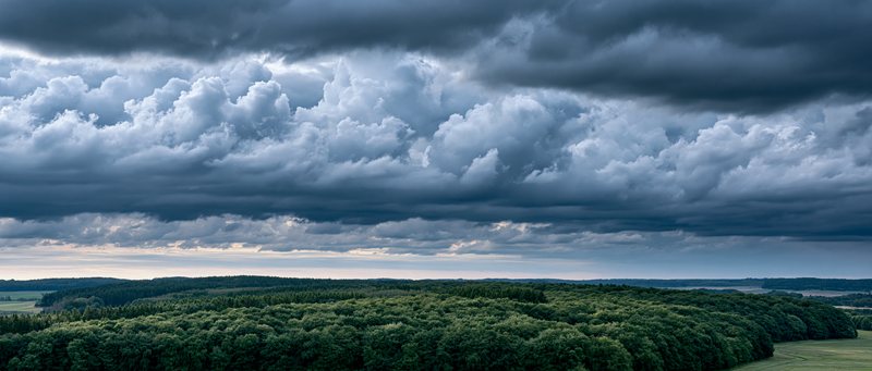 Dansk skov under et tungt skydække — set fra højde